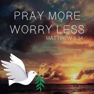 Meet your Posher, Kiki